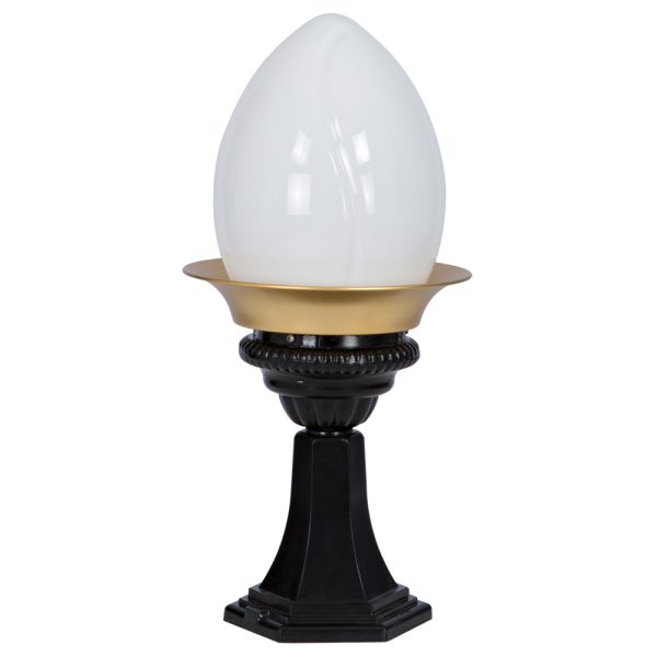 S.A 242 MEŞALE GLOP